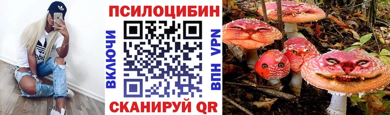 Галлюциногенные грибы MAGIC MUSHROOMS  купить наркотики цена  Ковров 